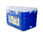 Термоконтейнер AVS IB-60 (60 литров)