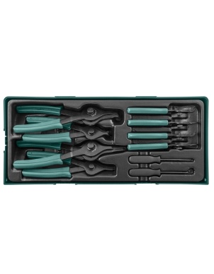 Набор щипцов для стопорных колец, 10 предметов (ложемент) Jonnesway AG010150SP фото 1